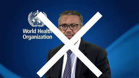 no_a_tedros.jpg